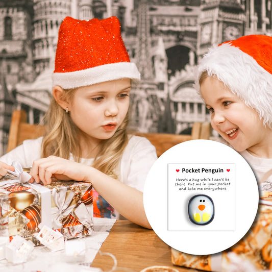 TOYMIS Pocket Penguin Hug, Niedlich Glas Eine Kleine Taschen Pinguin Umarmung mit Ermutigend Grußkarte Mini Pinguin Spielzeug